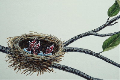 Гнездо с новорожденными птенцами