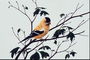 Темно-оранжевые перышки птицы. Ветка с темно-зелеными листьями