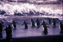 Pingüins-tratamento da água