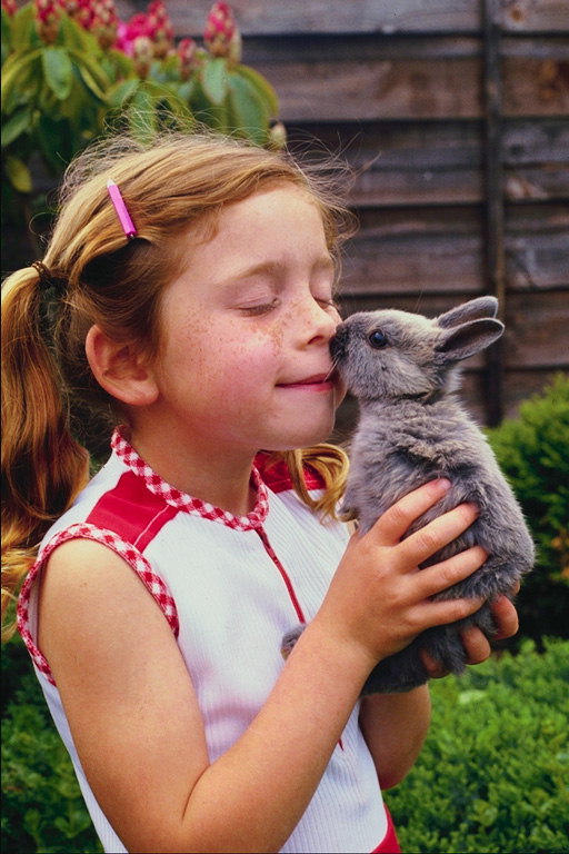 Рыжеволосая девочка и кролик темно-пепельного цвета