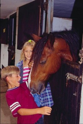 Дети и лошадь 