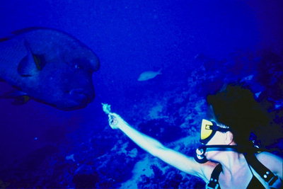 Девушка кормит рыбу под водой