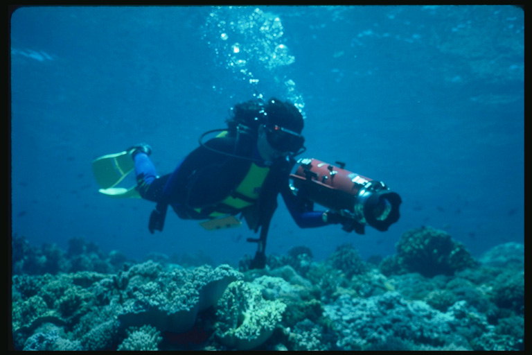 Diver on the seabed