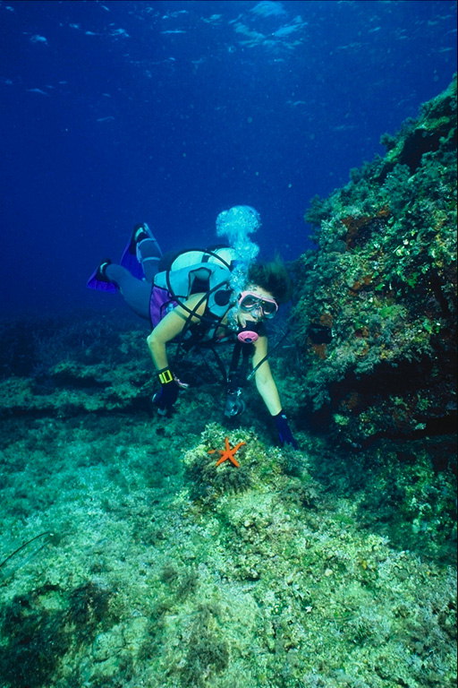 Diver trong đá trên seabed