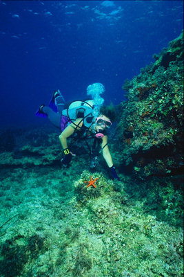 Penyelam di antara batu-batu di dasar laut
