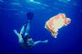 Diver swims šalia medžiaga jūrų teisė