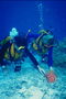 Dva potápač na morskom dne u hmotného práva na more