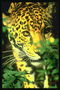 Леопард за зелеными ветками растения