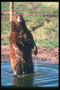 Ручейки воды с лап медведя