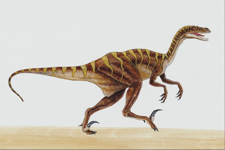 Селлозавр с светло-коричневыми полосками