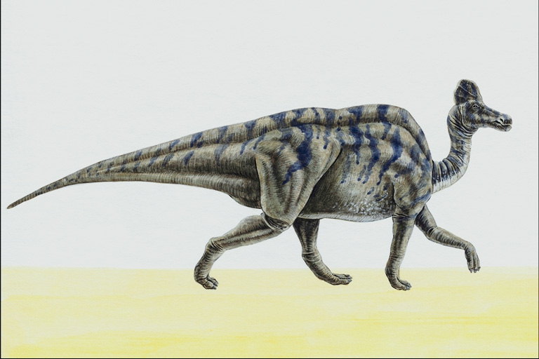 Коритозавр серого цвета с темно-синими полосками на спине