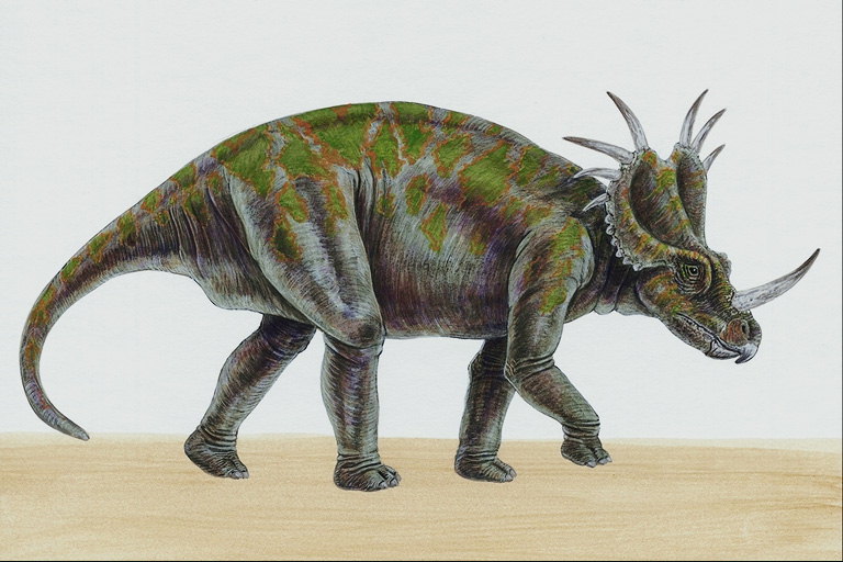 Стиракозавр с салатовыми патнами на спине