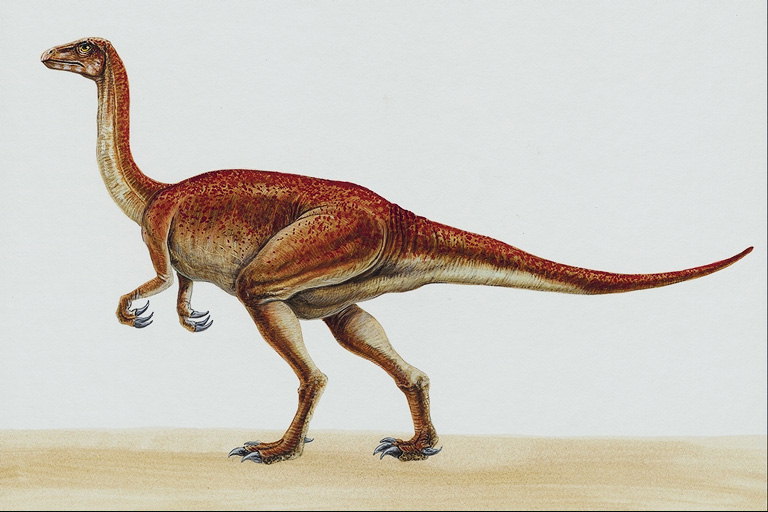 Динозавр с длинными серыми когтями на лапах