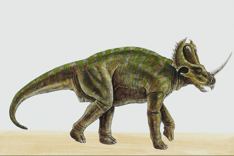 Динозавр с рогом на носу и щитом