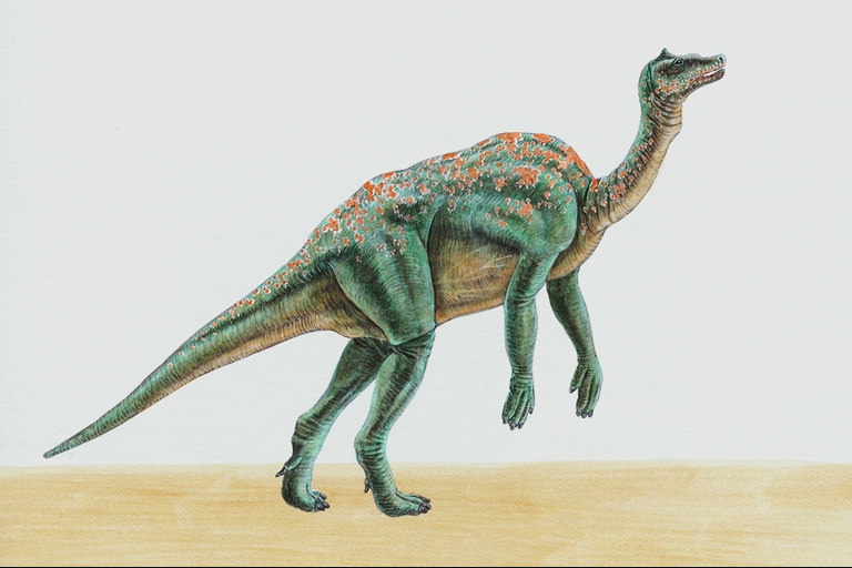 Динозавр с короткой шеей