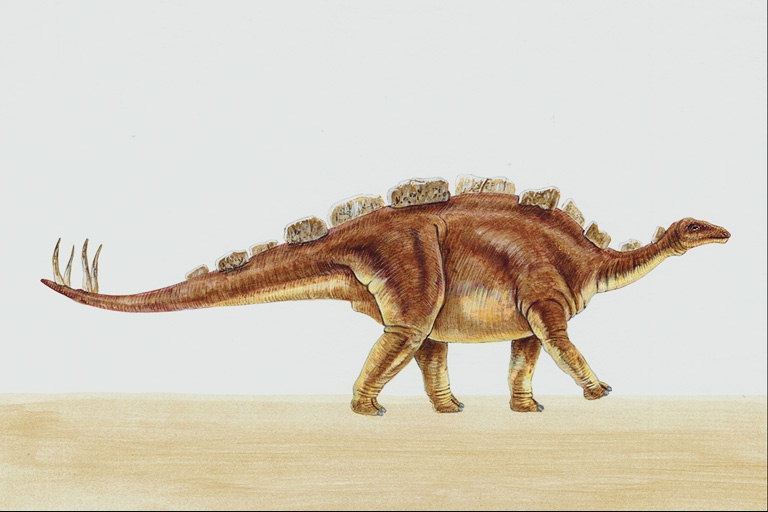 Динозавр с пластинками на спине и шипами на хвосте