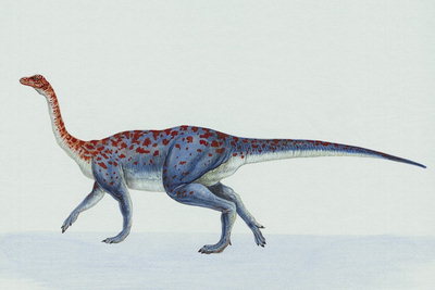 Динозавр с рыжими пятнами на спине - прозауропрод