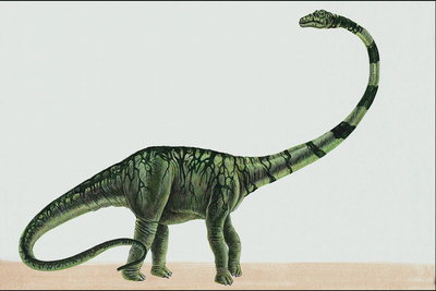 Апатозавр зеленого цвета с темно-зелеными полосами на спине