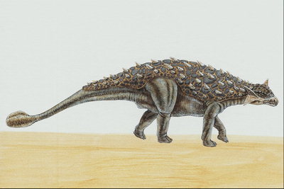 Динозавр с панцирем и шипами