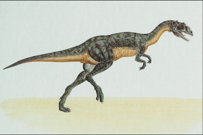 Динозавр-хищник с темно-серой спиной и  желтым  животом