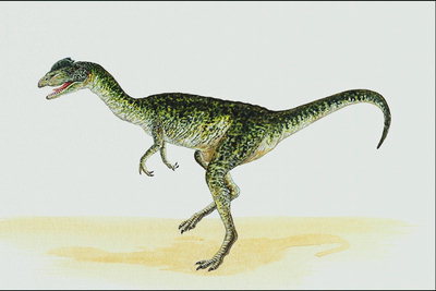 Дилофозавр в салатовых пятнах