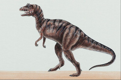 Полосатая спина динозавра