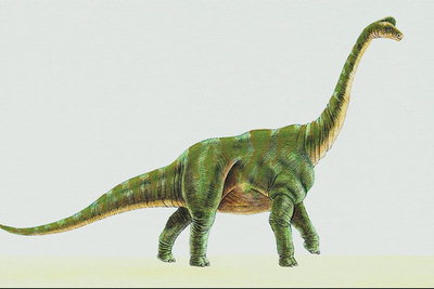 Брахиозавр на коротких толстых лапах