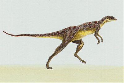 Динозавр на длинных задних лапах, длинный хвост