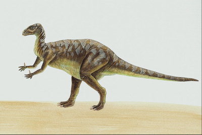 Динозавр с короткими передними лапами и светло-серыми рисунками на спине