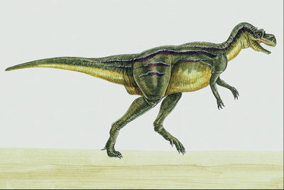 Цератозавр с фигурными полосками на боках
