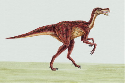 Динозавр с длинными пальцами лап и когтями