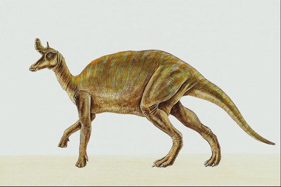 Динозавр с шишкой на лбу