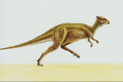 Динозавр с маленькой головой