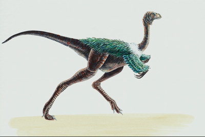 Динозавр с крыльми покрытыми ярко-салатовым перьям