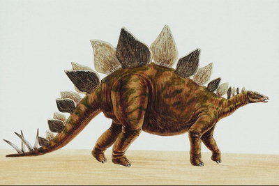 Стегозавр коричневого цвета