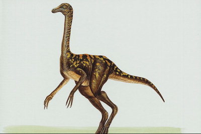 Динозавр с длинными пальцами