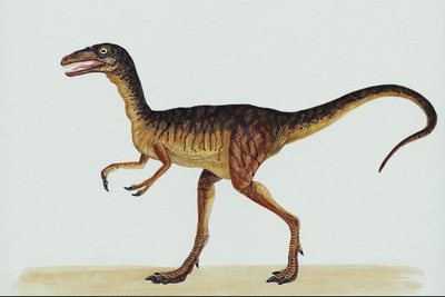 Динозавр с двымя пальцами на передних лапах