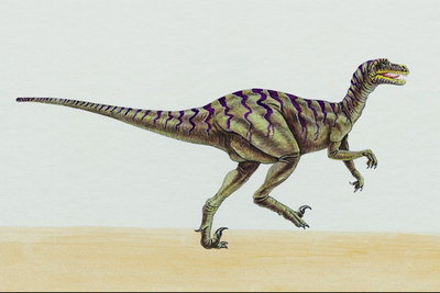Динозавр с видоизменнными когтями на лапах