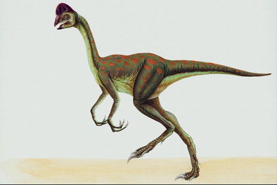 Динозавр с длинной головой