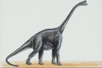 Брахиозавр темно-серого цвета