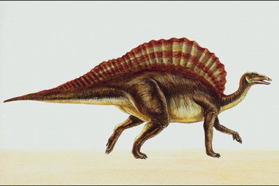Динозавр со спинным гребнем в бордово-белую полоску