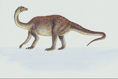 Динозавр сиреневого цвета с коричневых пятнах