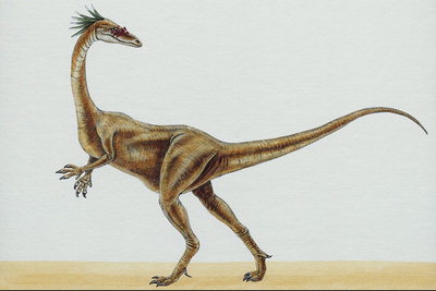 Динозавр с салатовыми перами на голове