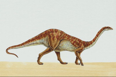Динозавр в рыжую полоску