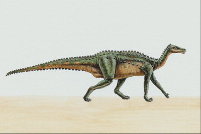 Динозавр с видоизмененными шипами на спине