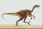 Селлозавр с светло-коричневыми полосками