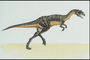 Динозавр-хищник с темно-серой спиной и  желтым  животом