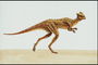 Пахицефалозавр оранжевого цвета в свнтлую полоску