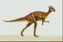 Пахицефалозавр с красными пятнами на спине