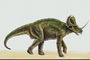 Динозавр с рогом на носу и щитом
